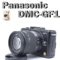 Panasonic LUMIX DMC G8 本体、バック、掃除グッズセット - メルカリ