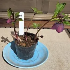 M.J様 リクエスト 2点 まとめ商品