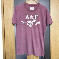 アバクロンビー&フィッチ　Tシャツ