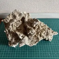台座付き】珪化木 木の化石 2926g 鑑賞石 銘石 骨董 祖父の遺品 - メルカリ