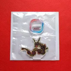 ❣️早い者勝ち❣️　ポケモン 黒いレックウザ アクリルスタンド Pokémon