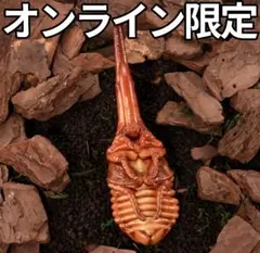 オンライン限定 いきもの大図鑑 かぶとむし１０ ヘラクレスオオカブト（蛹）のサムネイル