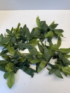 Item thumbnail for item 43e048fb-8898-46c0-9d4a-7bda9ed1b964