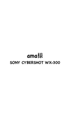 SONY CYBERSHOT WX-300 本体 ピンク 20倍ズーム