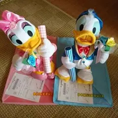 ディズニードナルドダック、レターパック