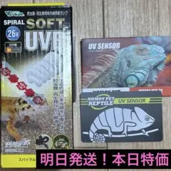 Item thumbnail for item 1e63689d-0386-497d-b0d9-ad9128f3acb5