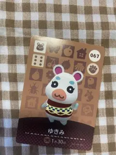 あつ森 amiiboカード アミーボカード ゆきみ