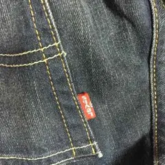 リーバイス短パンのサムネイル