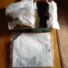 Item thumbnail for item eca51fdd-d883-45f5-aeda-3d8f423efb0b