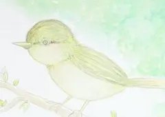 小鳥 手描きイラスト 原画 一点物 水彩 ポストカードサイズ