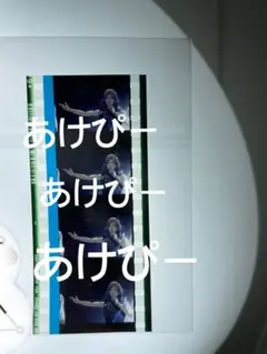 タブナイ コマフィルム カミュ