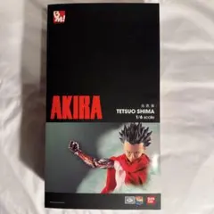 PBM! 島鉄雄 「AKIRA」 PROJECT BM! No.40 - メルカリ