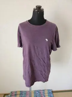 Abercrombie & Fitch Tシャツ パープル S