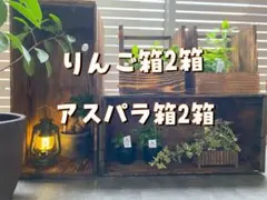 りんご箱焼き目加工2箱　アスパラ箱焼き目加工2箱　　の４点セット