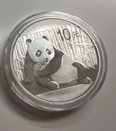 2017年 中国パンダ銀貨 30g 10元 - メルカリ