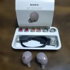 WF-1000XM5 本体のみ(ケース・付属品無し) 2026年最新】sony wf-1000xm5 ケースのみの人気アイテム - メルカリ