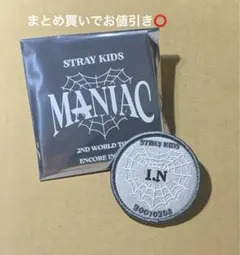 Straykids スキズ I.N アイエン ワッペンネームバッジ