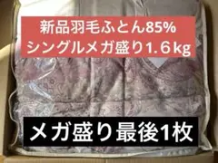 新品　メガ増量ダウン率85％1.6kg軽量新合繊　抗菌羽毛ふとん