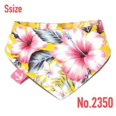 Item thumbnail for item a99acf72-43a0-4a4a-9355-284e85884d60