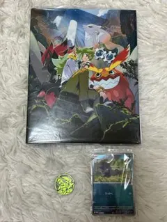 ポケモンカード コレクションファイルセット N