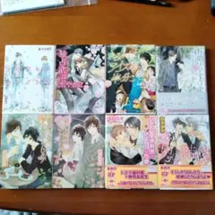 ＢL小説８冊セット