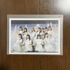 乃木坂46 5期生 集合 真夏の全国ツアー2024 セレクト生写真