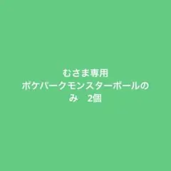 むさま専用　ポケパーク　モンスターボールのみ　2個