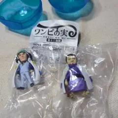 ワンピースの実　２個セット