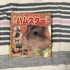 平成レトロ ハムスター健康保険被メモ帳 - メルカリ