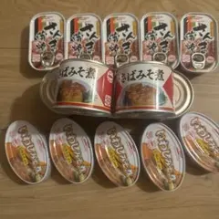 いわしみそ煮 さんまの蒲焼 さばみそ煮 缶詰セット