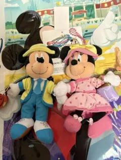 バケーションパッケージ　ミッキー& ミニー