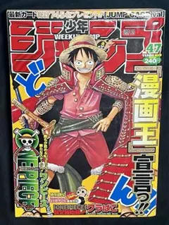 週刊少年ジャンプ 2010年50号 ONE PIECE巻頭カラー - メルカリ