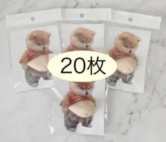 Item thumbnail for item 8cd7baf1-86a5-42bb-b4d2-9481f9fb14bd