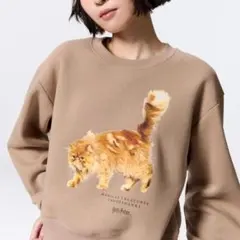 CROOKSHANKS ベージュ 猫　ルームウェア 上下セット　ハリーポッター CROOKSHANKS ベージュ 猫 ルームウェア 上下セット ハリー