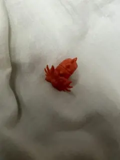 ウルトラマン怪獣消しゴム モングラー オレンジ - メルカリ