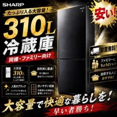 506⭕️お得⭕️冷蔵庫　シャープ　300ℓ　一人暮らし　大きめ　安い　黒　設置無料のサムネイル