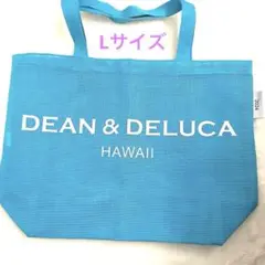 ラスト1点　L サイズ　メッシュ　グリーン