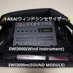 2026年最新】ewi3000mの人気アイテム - メルカリ