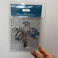 ジュビリー　キーチェーン　新品未使用　ディズニーシー25周年　アプリ購入