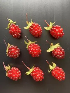 クリスマス ビーズ・アクセサリー