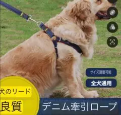 犬用ハーネス+リード+首輪セット全犬種対応 サイズ調節可能 散歩 しつけ黒 2m