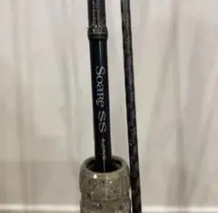 2026年最新】ソアレssアジングの人気アイテム - メルカリ