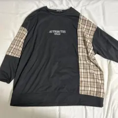 Item thumbnail for item 82635f73-9a90-481a-90f9-b576e0080fd4