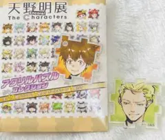 REBORN! 天野明展 アクリルパズル γ