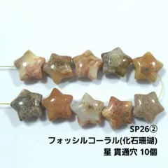 SP22】フォッシルコーラル(化石珊瑚) ハート 縦貫通穴 10個set - メルカリ