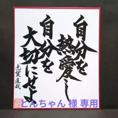 とんちゃん様 リクエスト 2点 まとめ商品