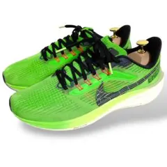 Item thumbnail for item c9486064-171d-41d1-989e-a0f91138fb72