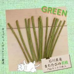 【초여름 한정】신록 마타비 어린 가지 약 17cm, 줄기 12개+특전 포함, 이시카와현산 국내산