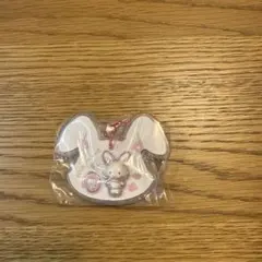 Wish me mell サンリオパッケージチャーム
