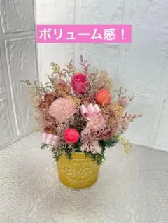 Item thumbnail for item 01e49c7e-ad86-449b-8cb8-23e0dd2ff5ff